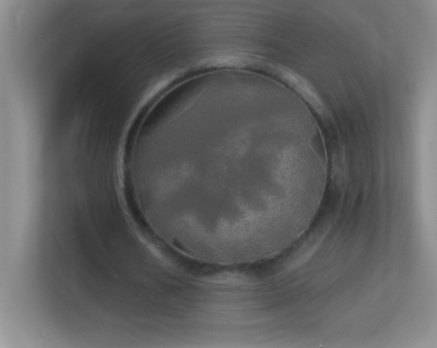 X0000113920578200909241532