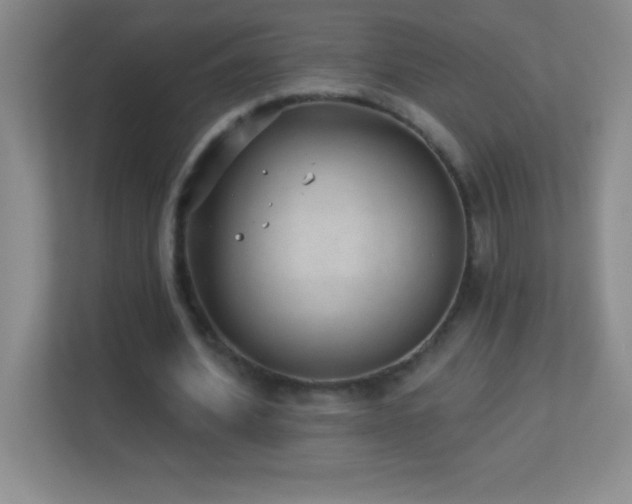 X0000113920580200909241531