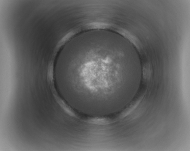 X0000113920581200909241531