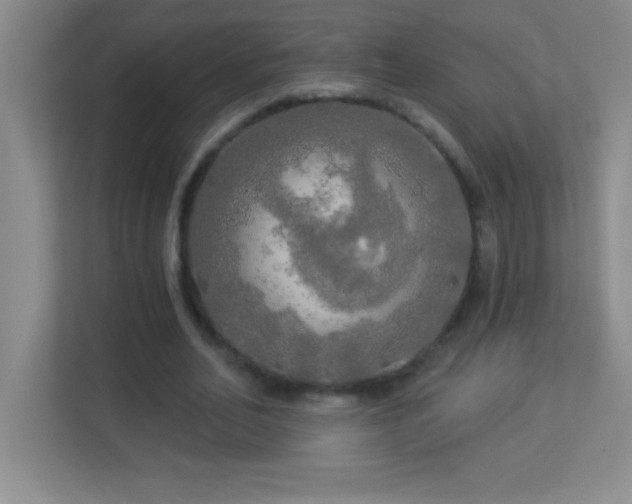 X0000113920582200909241531