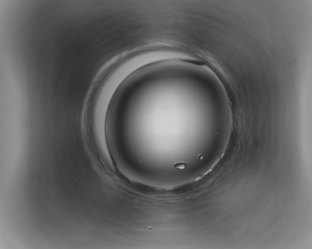 X0000113920583200909241531