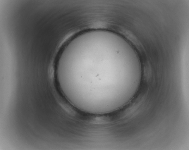 X0000113920584200909241531