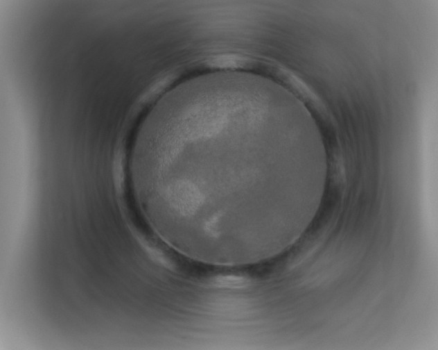 X0000113920586200909241531