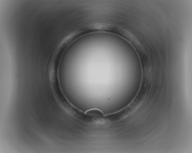 X0000113920587200909241531