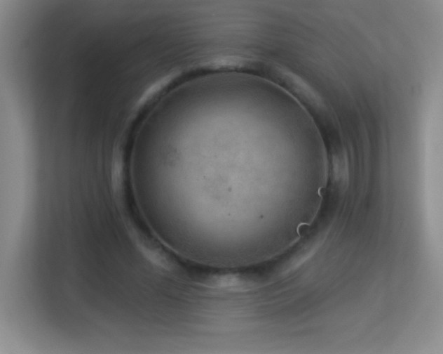 X0000113920588200909241531