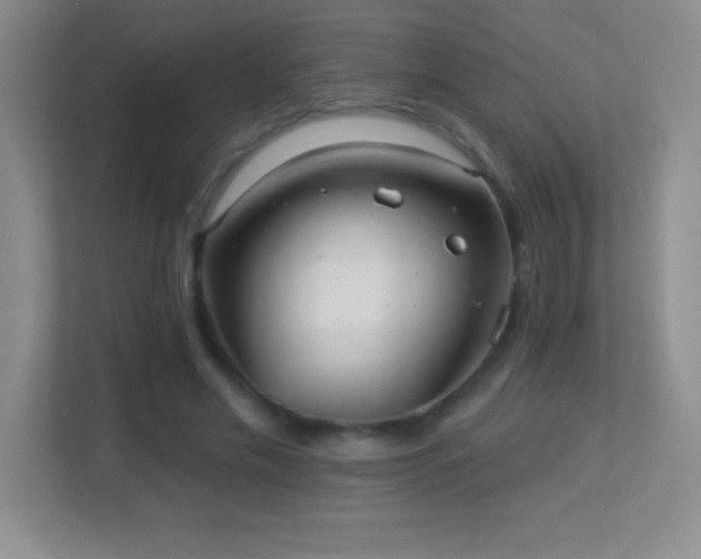 X0000113920589200909241531