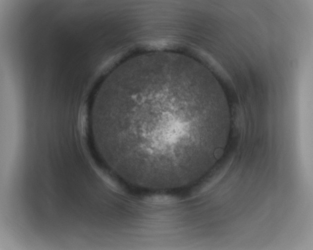 X0000113920590200909241531