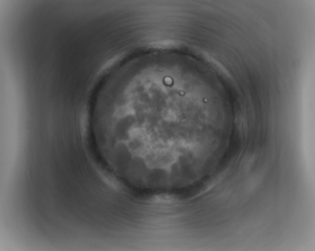 X0000113920591200909241531