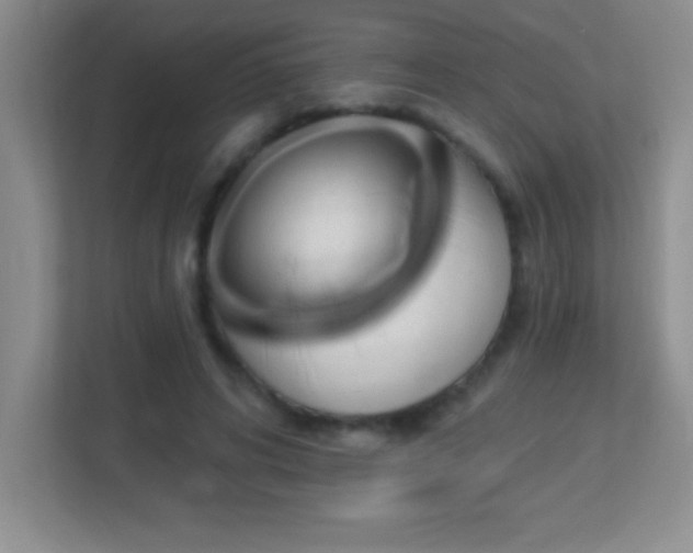 X0000113920592200909241531