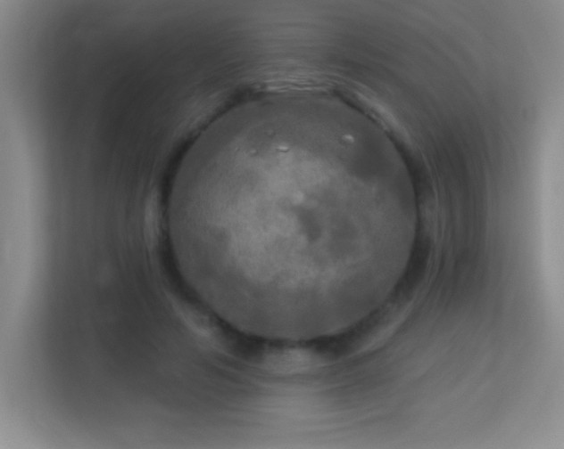 X0000113920594200909241531