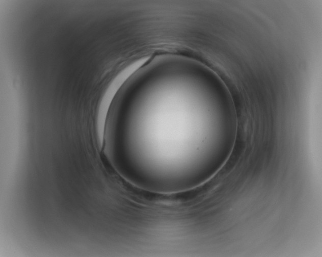 X0000113920595200909241531