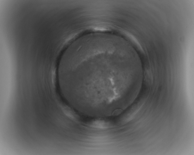 X0000113920596200909241531