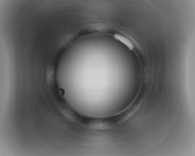 X0000113920597200909241531