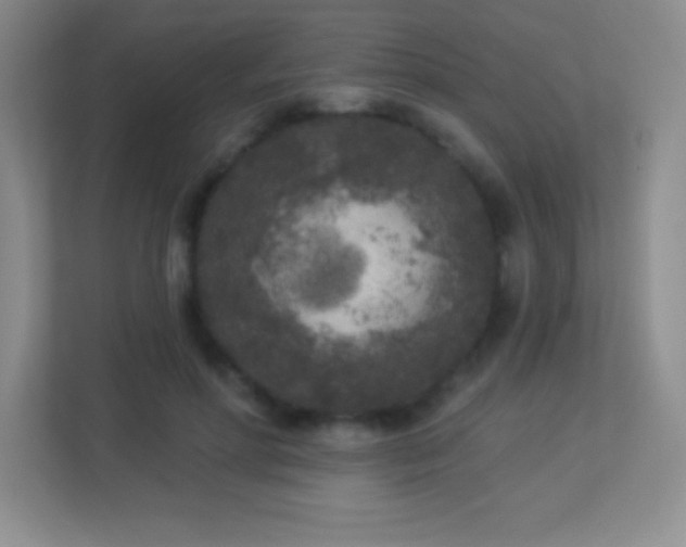 X0000113920598200909241531