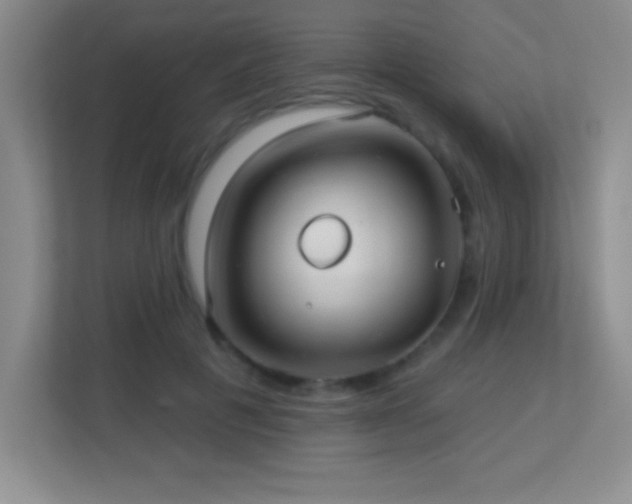 X0000113920601200909241531