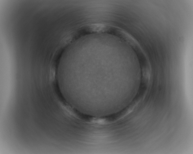 X0000113920602200909241531