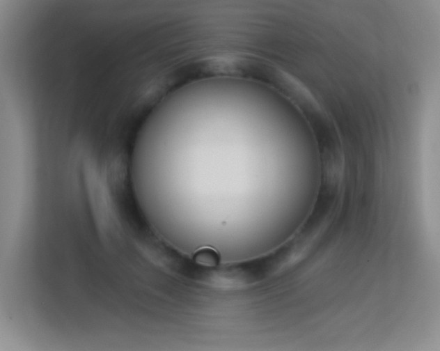 X0000113920603200909241531