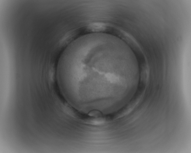 X0000113920604200909241531