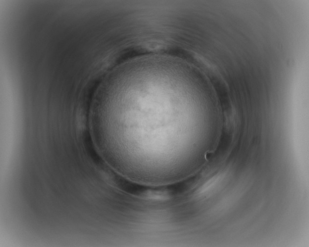 X0000113920606200909241531