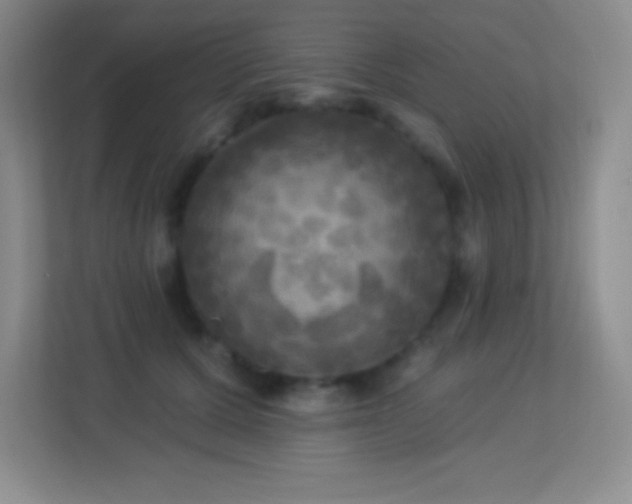 X0000113920607200909241531