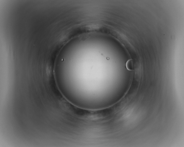 X0000113920608200909241531