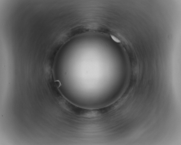 X0000113920609200909241531