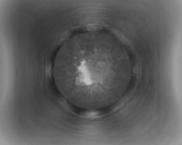 X0000113920610200909241531