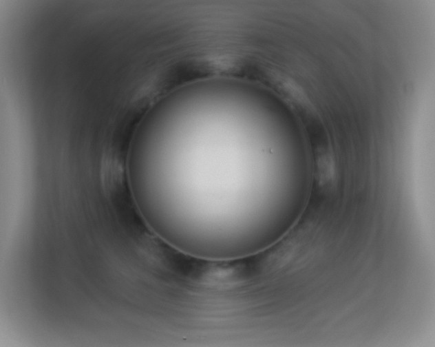 X0000113920613200909241531