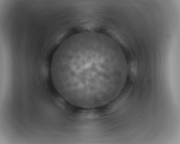 X0000113920615200909241531