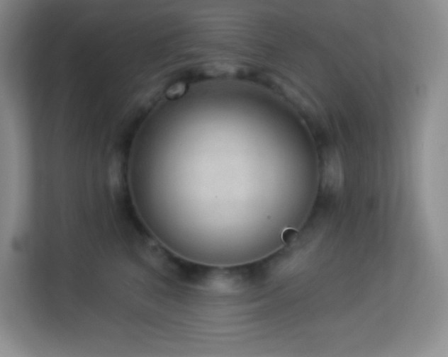 X0000113920616200909241531