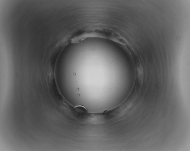 X0000113920617200909241531