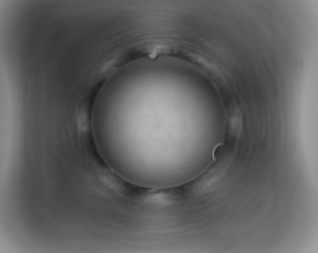 X0000113920620200909241531