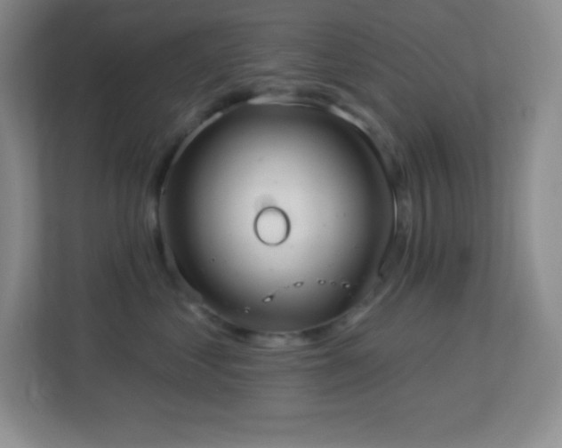 X0000113920621200909241531