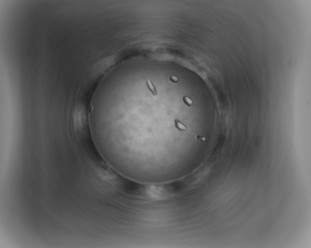 X0000113920623200909241531