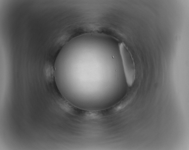 X0000113920624200909241531