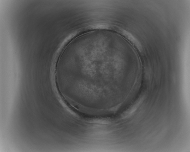 X0000113920625200909241530