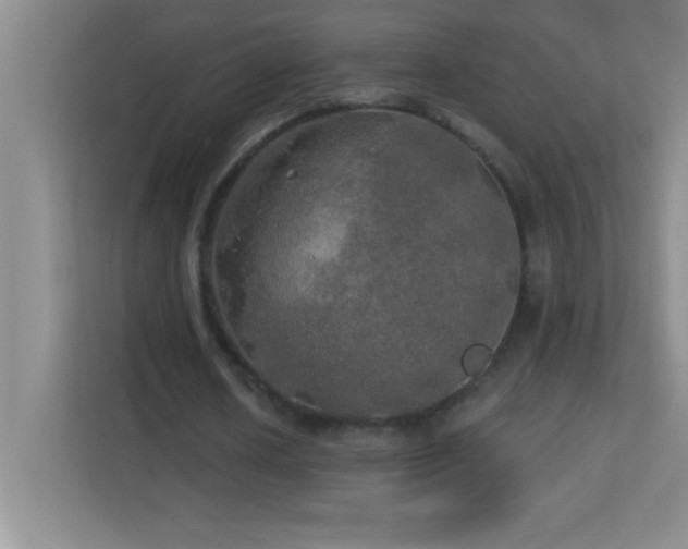 X0000113920626200909241530