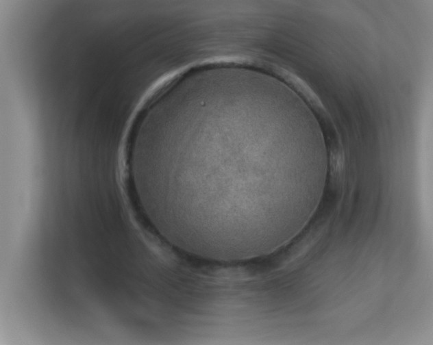 X0000113920628200909241530