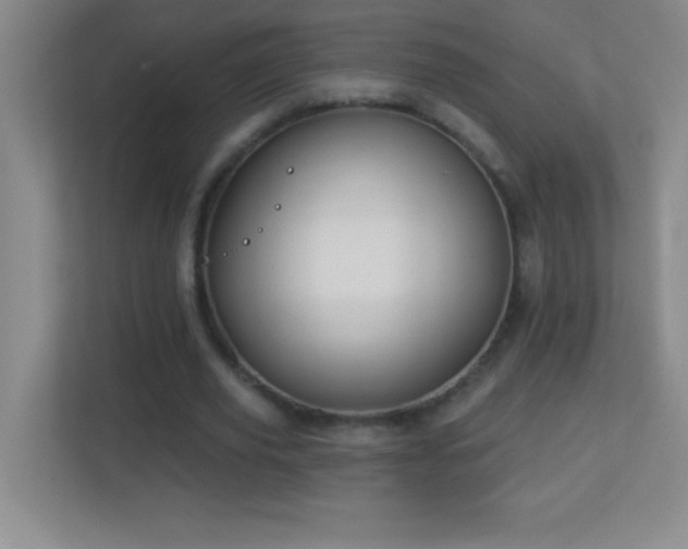 X0000113920629200909241530