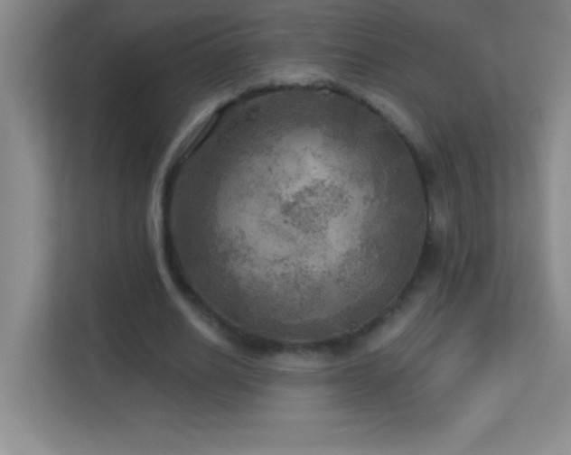 X0000113920630200909241530