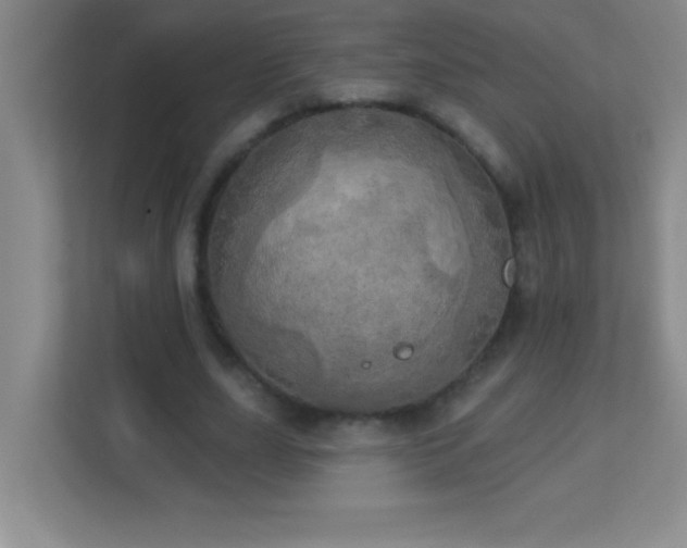 X0000113920631200909241530