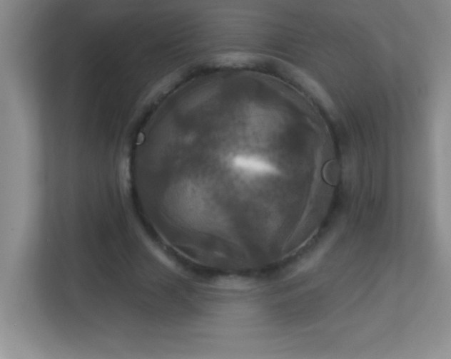 X0000113920633200909241530