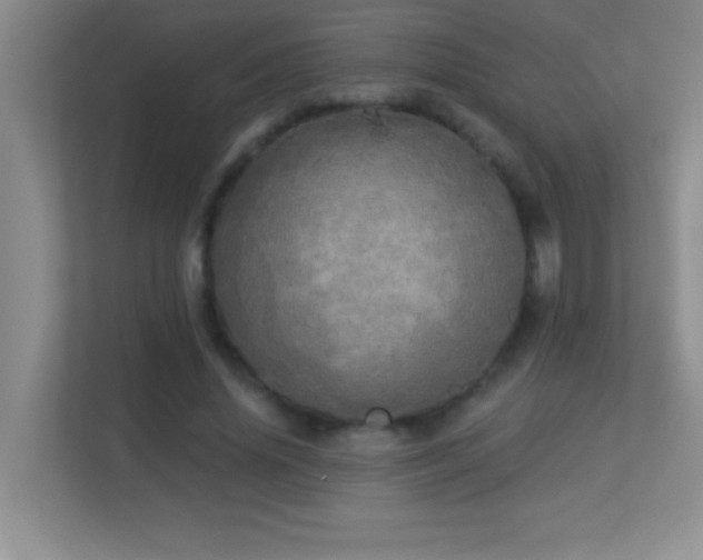 X0000113920636200909241530