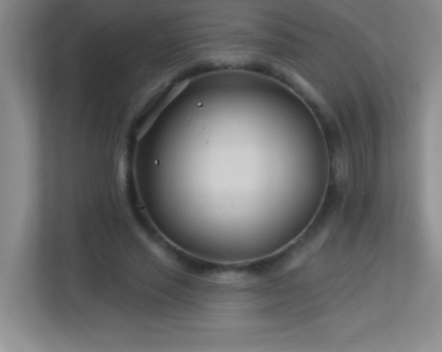 X0000113920637200909241530