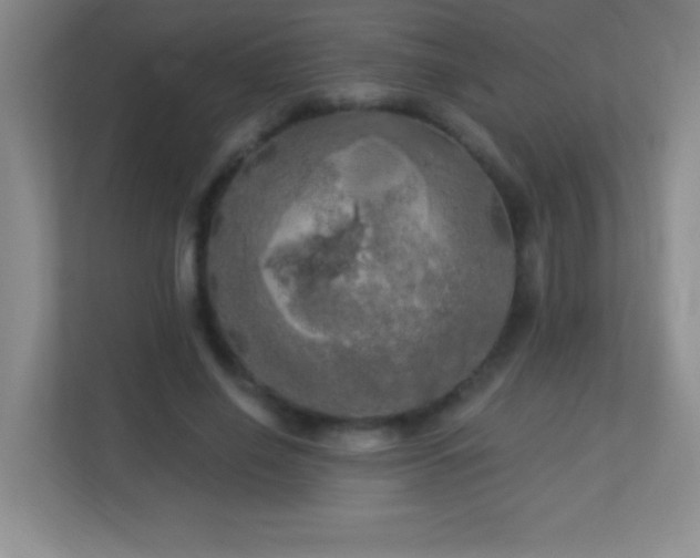 X0000113920638200909241530