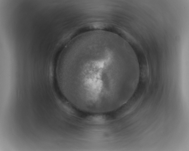 X0000113920639200909241530