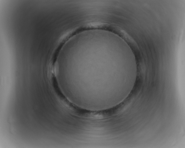 X0000113920640200909241530