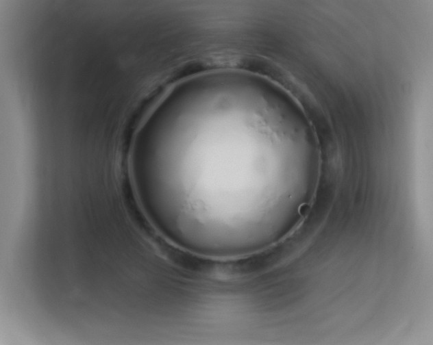 X0000113920641200909241531