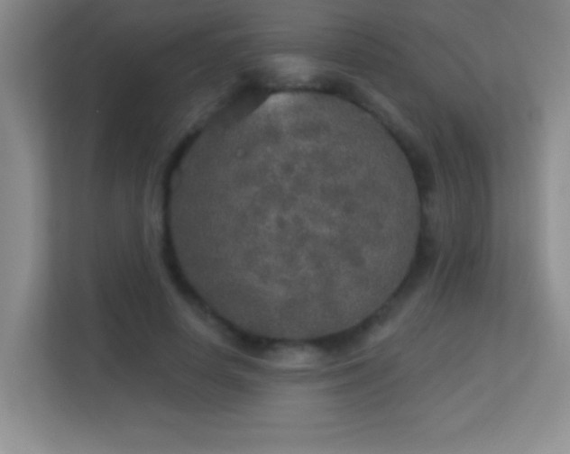 X0000113920642200909241531