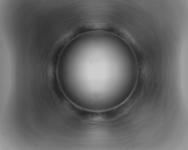 X0000113920643200909241531